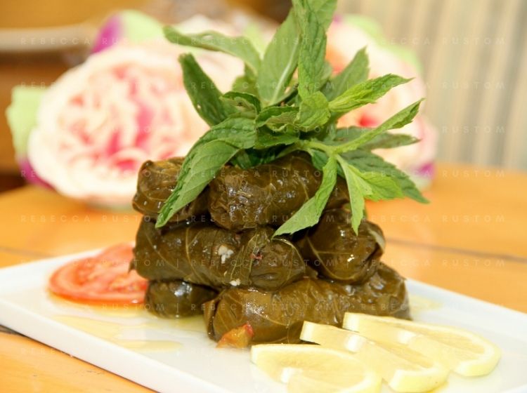 Rebecca-Rustom-Vine-Leaves