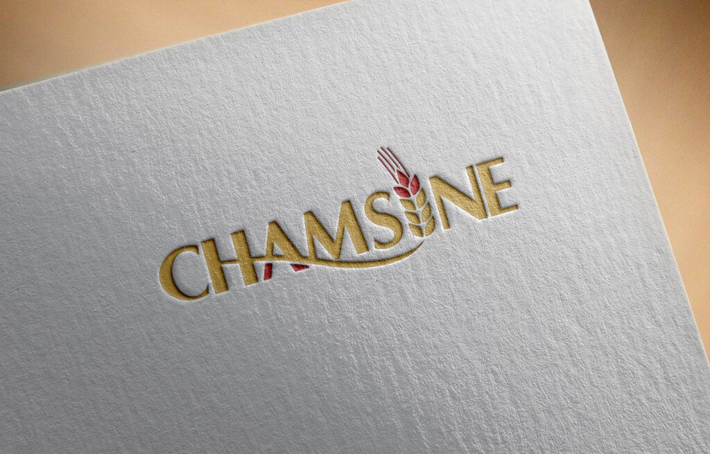 Chamsine-English-Logo-Rebranding