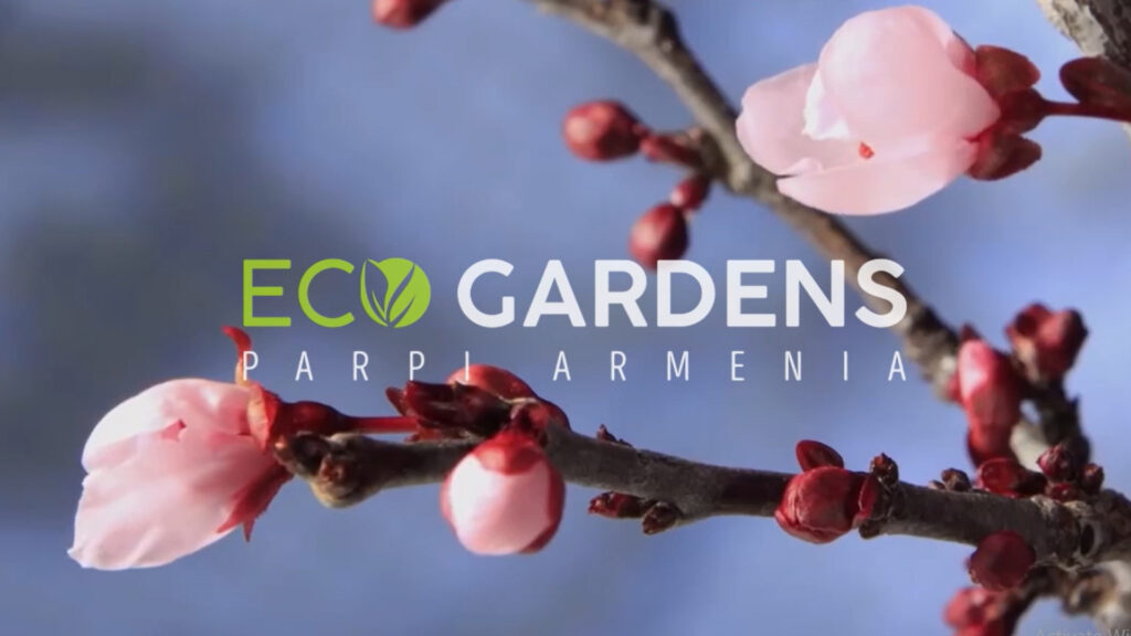 Eco-gardens-armenia-project